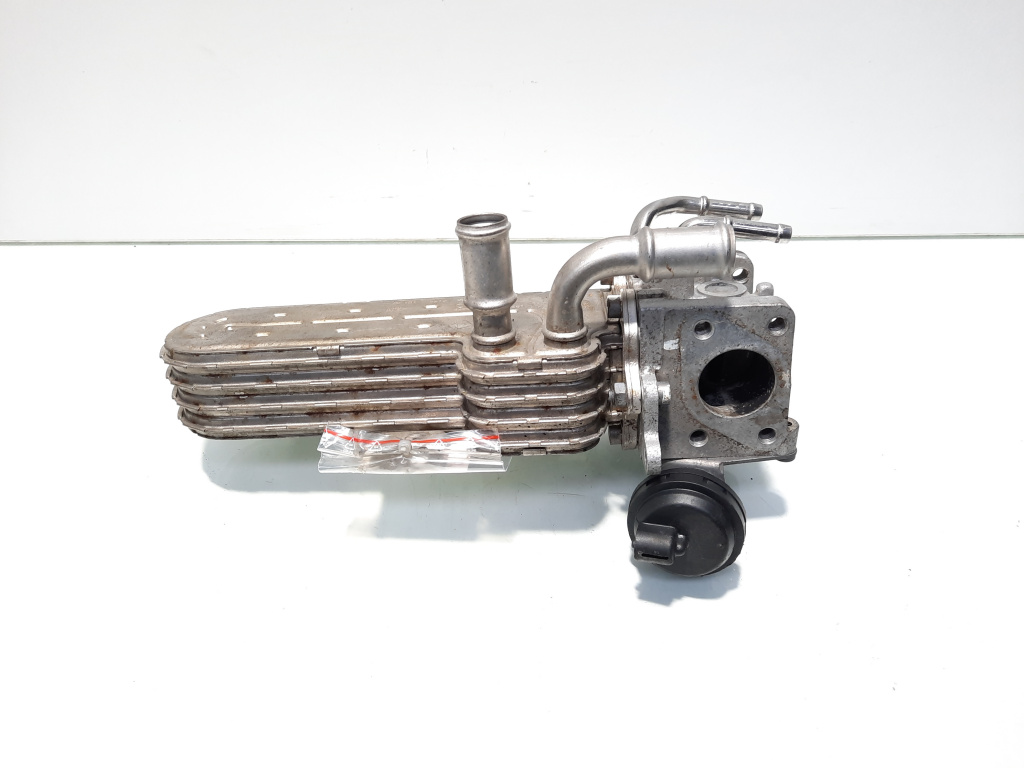 Racitor gaze, cod 038131513AD, Seat Leon (1P1), 2.0 TDI, BXE (id:577328)
