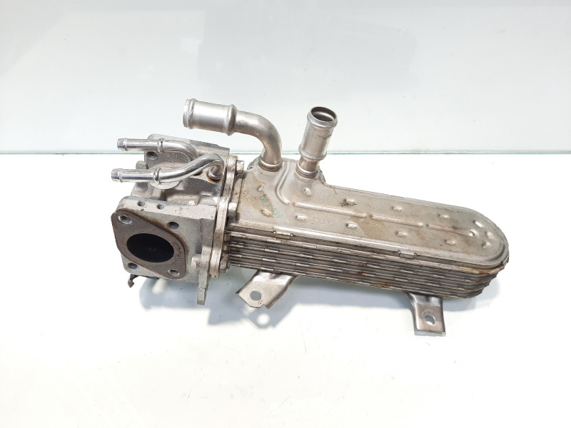 Racitor gaze, cod 038131513AD, VW Golf 5 (1K1), 1.9 TDI, BXE (idi:482002)