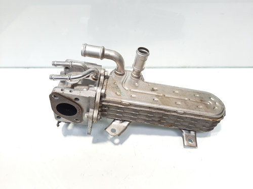 Racitor gaze, cod 038131513AD, VW Golf 5 Plus (5M1), 1.9 TDI, BXE (idi:482002)