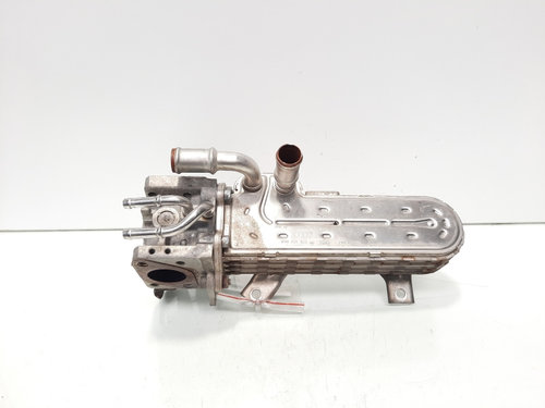 Racitor gaze, cod 038131513AD, Vw Golf 5 Plus (5M1) 1.9 TDI, BXE (idi:611150)