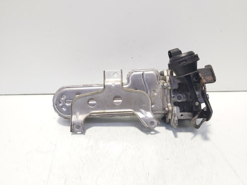 Racitor gaze, cod 038131513AD, Vw Golf 5 Plus (5M1), 1.9 TDI, BKC (idi:621018)