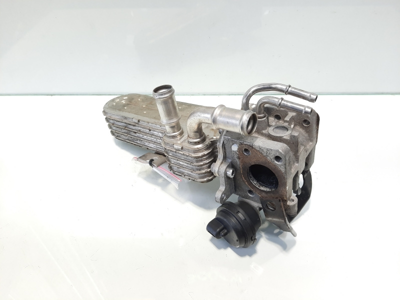 Racitor gaze, cod 038131513AD, VW Golf 5 Variant (1K5), 1.9 TDI, BXE (idi:482002)