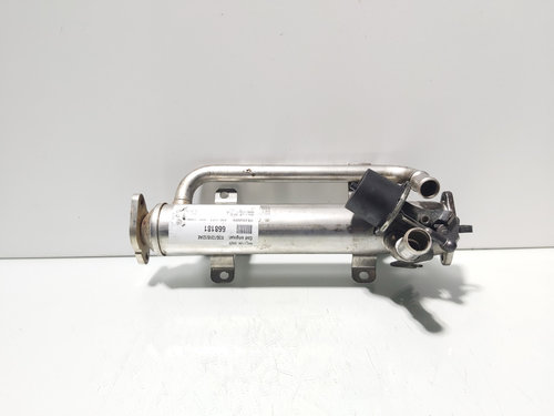 Racitor gaze, cod 03G131512AE, Vw Jetta 3 (1K2), 2.0 TDI, BMN (idi:668181)