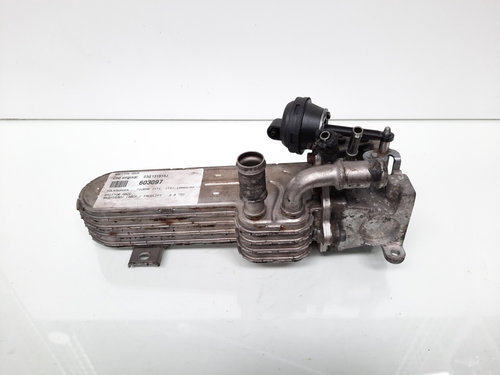 Racitor gaze, cod 03G131513J, VW Touran (1T1, 1T2), 2.0 TDI, BKD (id:603097)