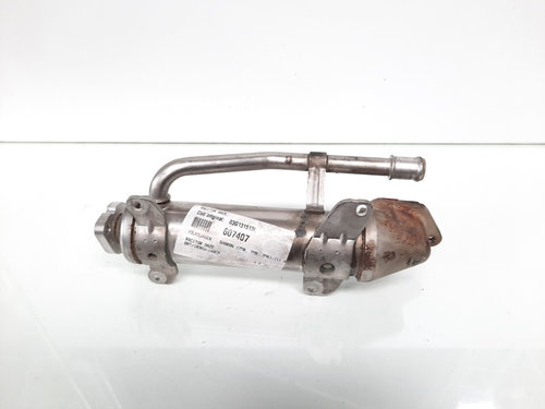Racitor gaze, cod 03G131513L, Vw Sharan (7M8, 7M9, 7M6) 2.0 TDI, BRT (id:607407)