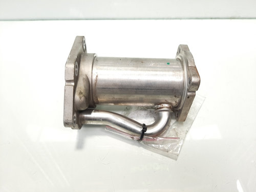 Racitor gaze, cod 8200545260, Renault Megane 2, 1.5 dci, K9K732, (id:484201)