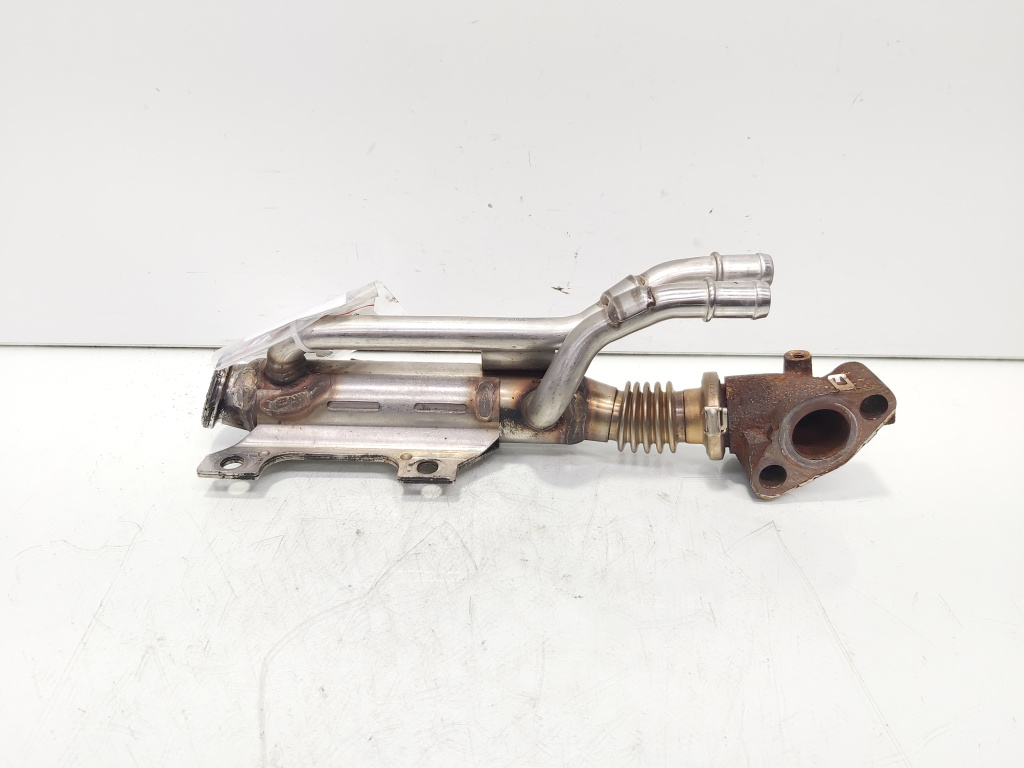 Racitor gaze, cod 8200657537, Renault Megane 2, 1.9 DCI, F9QL818 (id:621571)
