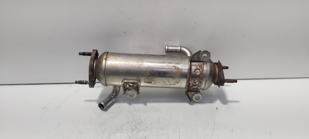 Racitor gaze, cod 96817829, Opel Antara, 2.0 CDTI, Z20S1 (id:690086)