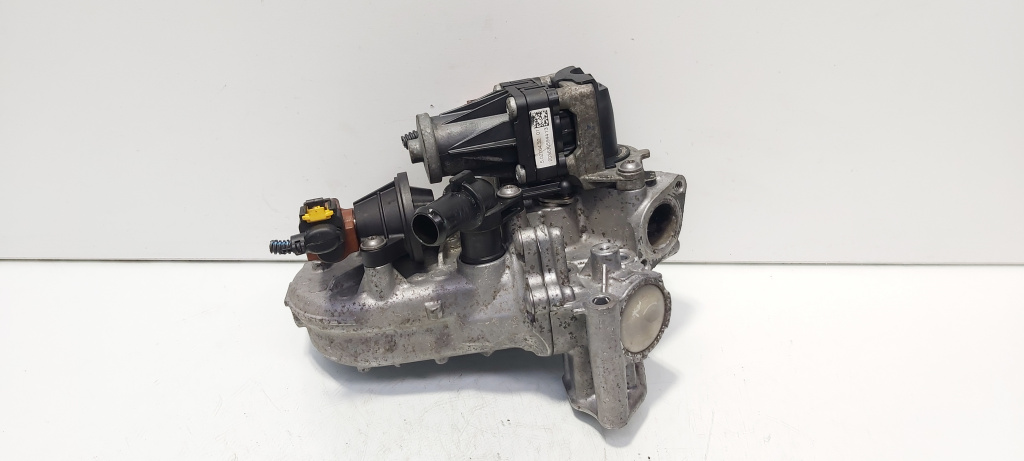 Racitor gaze cu egr, cod 55230929, 701599040, Fiat Punto (199) 1.3 M-JET, 199A9000 (id:689756)