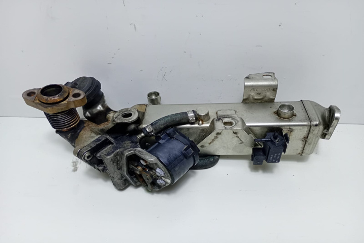 Racitor gaze EGR 781075106 BMW Seria 3 F30/F31/F34 [2011 - 2016]