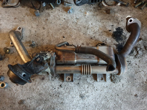 Racitor Gaze EGR Lexus IS220 D 177CP 2008
