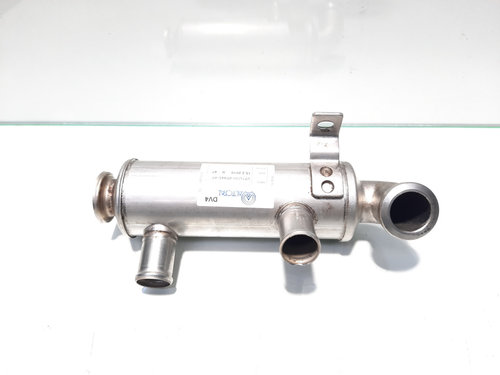 Racitor gaze, Ford Fiesta 5, 1.4 TDCI, F6JB, cod 2S6Q-9F464-AB (id:450082)