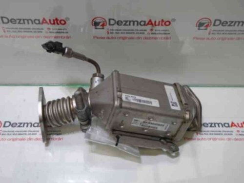 Racitor gaze GM55273565, Fiat Punto (199) 1.3M-Jet