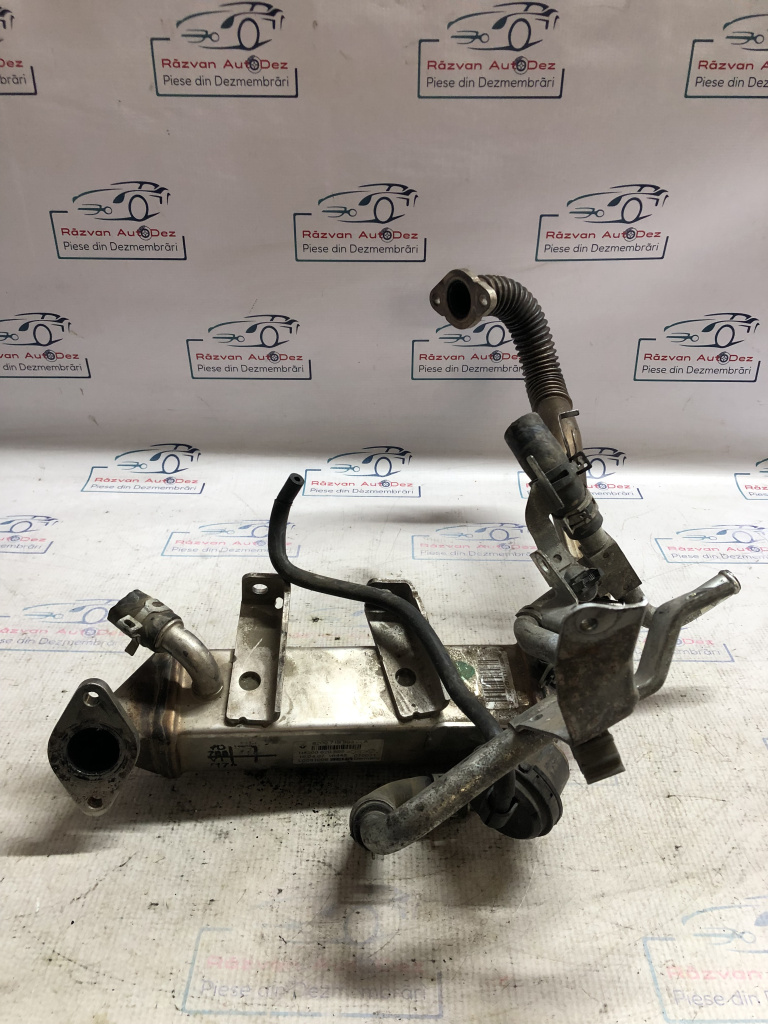 Racitor Gaze Nissan Qashqai 2008, 8200710993