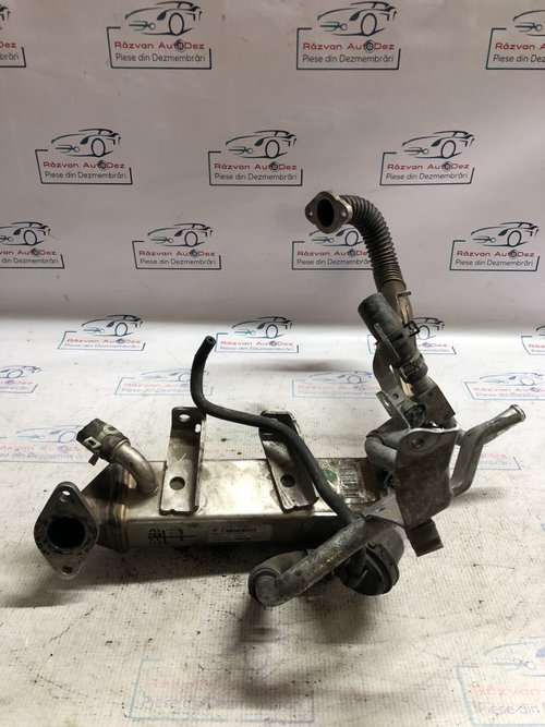 Racitor Gaze Nissan Qashqai 2008, 8200710993