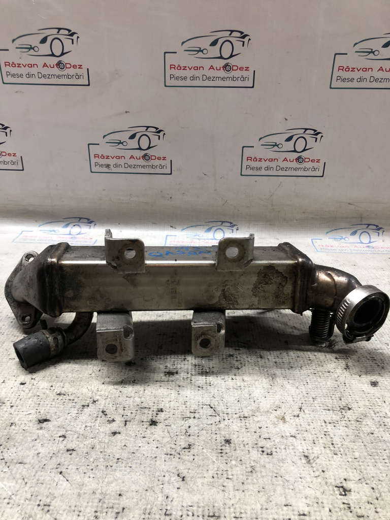 Racitor Gaze Nissan Qashqai 2010, 8200719993