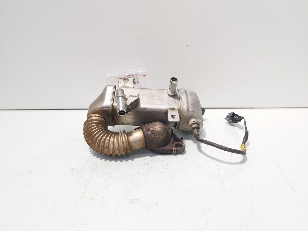 Racitor gaze, Renault Grand Scenic 3 1.6 DCI, R9M402 (id:703933)