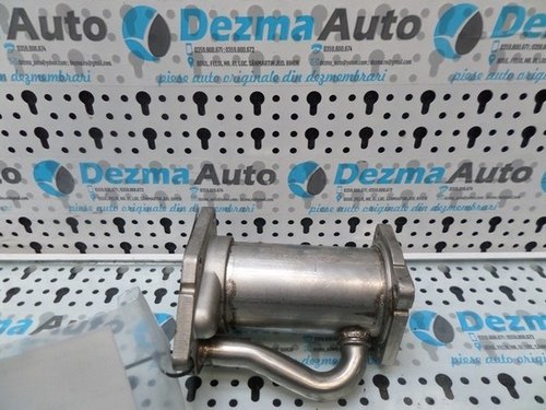 Racitor gaze Renault Kangoo (KW0/1) 8200729079