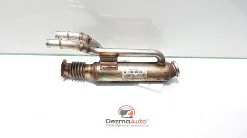 Racitor gaze, Renault Megane 2, 1.9dci, F9Q804, 8200657537 (id:395294)