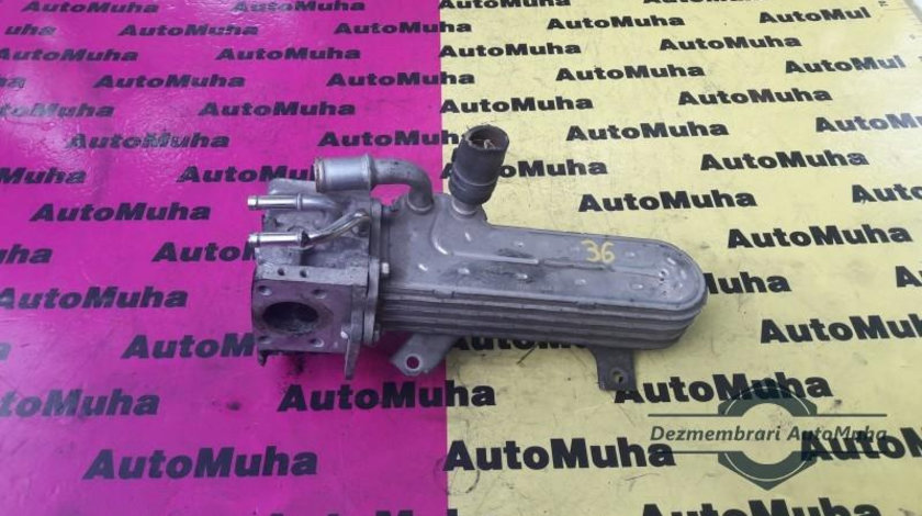 Racitor gaze Volkswagen Golf 4 (1997-2005) 038131513AD