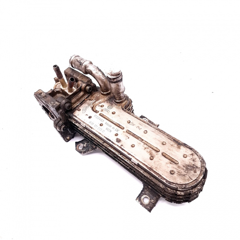 Racitor Gaze Vw Golf 4 1997-2004 1.9 Tdi Axr Motorina 038131513D, 1723493