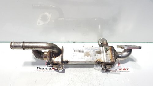 Racitor gaze, Vw Sharan (7M8, 7M9, 7M6) 1.9 tdi, cod 038131513L (id:379342)