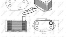 Racitor ulei BMW 5 (E39) 1995-2003 #2 07024012