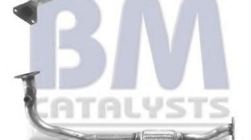 Racord evacuare FIAT PUNTO (176) (1993 - 1999) BM CATALYSTS BM70002 piesa NOUA