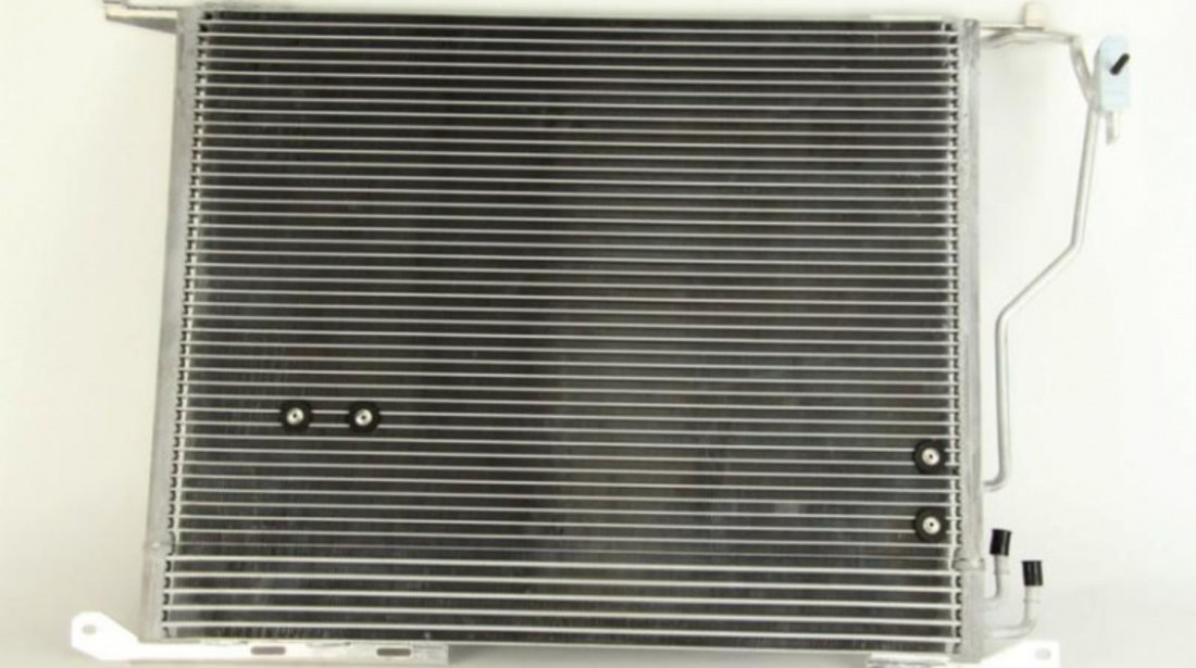Radiator aer conditionat Mercedes S-CLASS cupe (C215) 1999-2006 #2 08062077