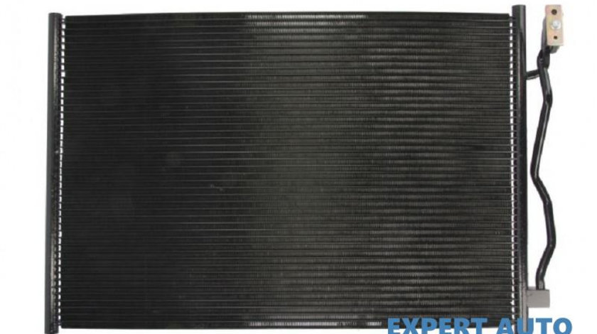 Radiator aer conditionat Mercedes S-CLASS (W221) 2005-2016 #3 2215000754