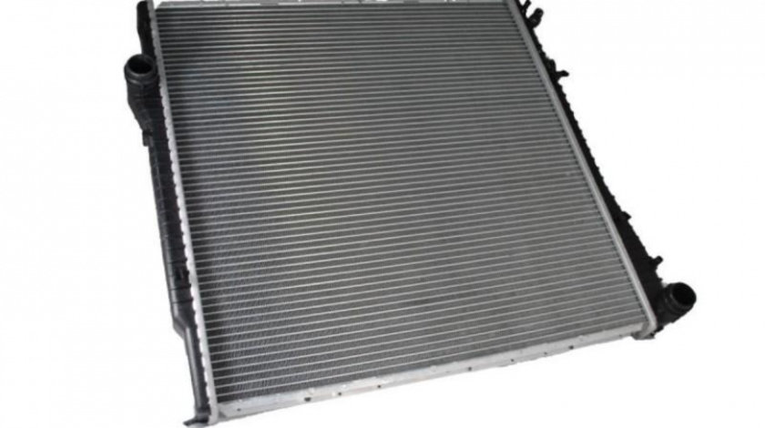 Radiator apa BMW X5 (E53) 2000-2006 #4 01023108