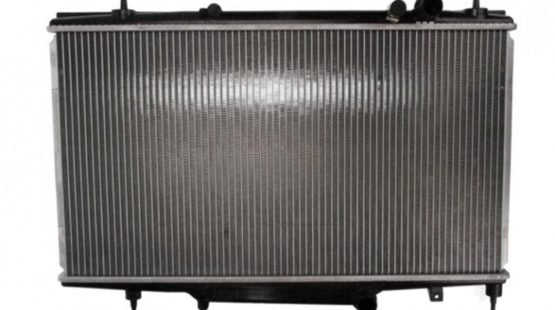 Radiator apa Citroen C5 I (DC_) 2001-2004 #4 106099