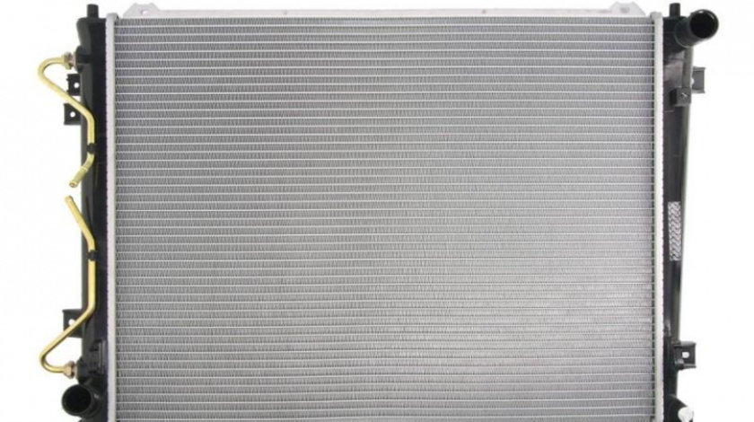 Radiator apa Kia CARENS III (UN) 2006-2016 #3 253101D210