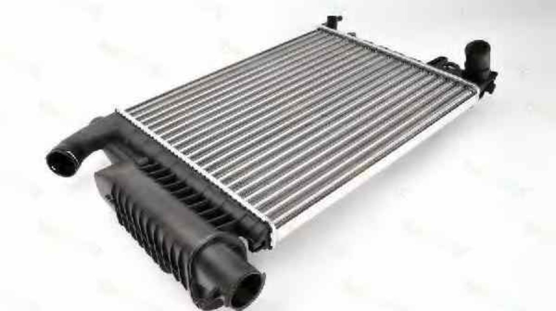 Radiator apa racire motor CITROËN XSARA N1 THERMOTEC D7P041TT