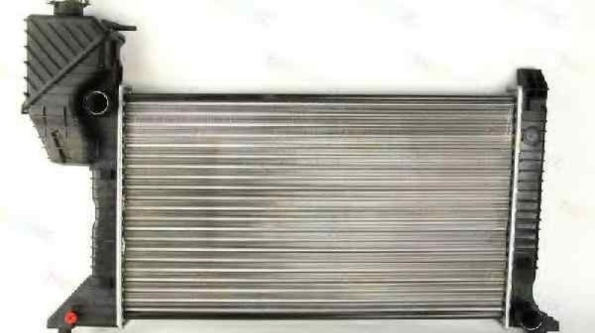 Radiator apa racire motor MERCEDES-BENZ SPRINTER 4-t platou / sasiu 904 THERMOTEC D7M004TT
