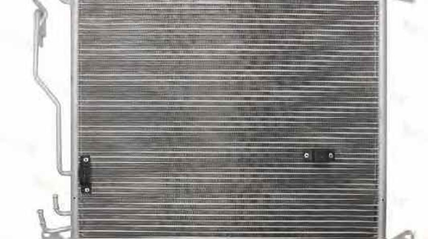 Radiator Clima Aer Conditionat MERCEDES-BENZ S-CLASS W220 Producator THERMOTEC KTT110280