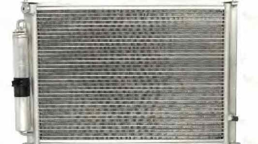 Radiator Clima Aer Conditionat RENAULT CLIO III BR0/1 CR0/1 Producator THERMOTEC KTT110251