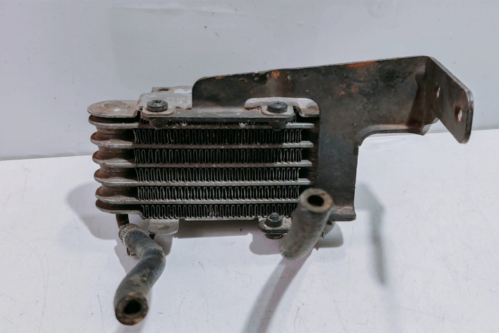 Radiator combustibil 13322247411 BMW Seria 5 E39 [facelift] [2000 - 2004]