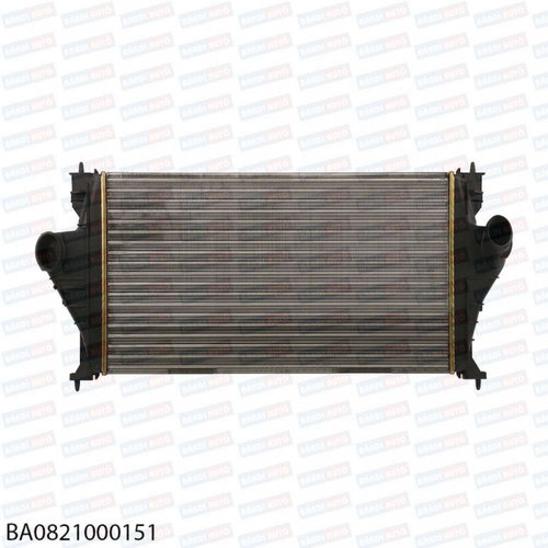 Radiator de apa BA0821000151 peugeot 406 ⭐⭐⭐⭐⭐