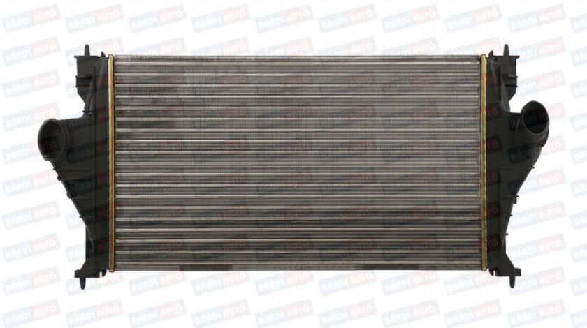 Radiator de apa BA0821000151 peugeot 406 ⭐⭐⭐⭐⭐