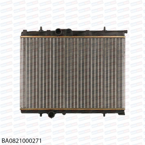 Radiator de apa BA0821000271 citroen c4 307 ⭐⭐⭐⭐⭐