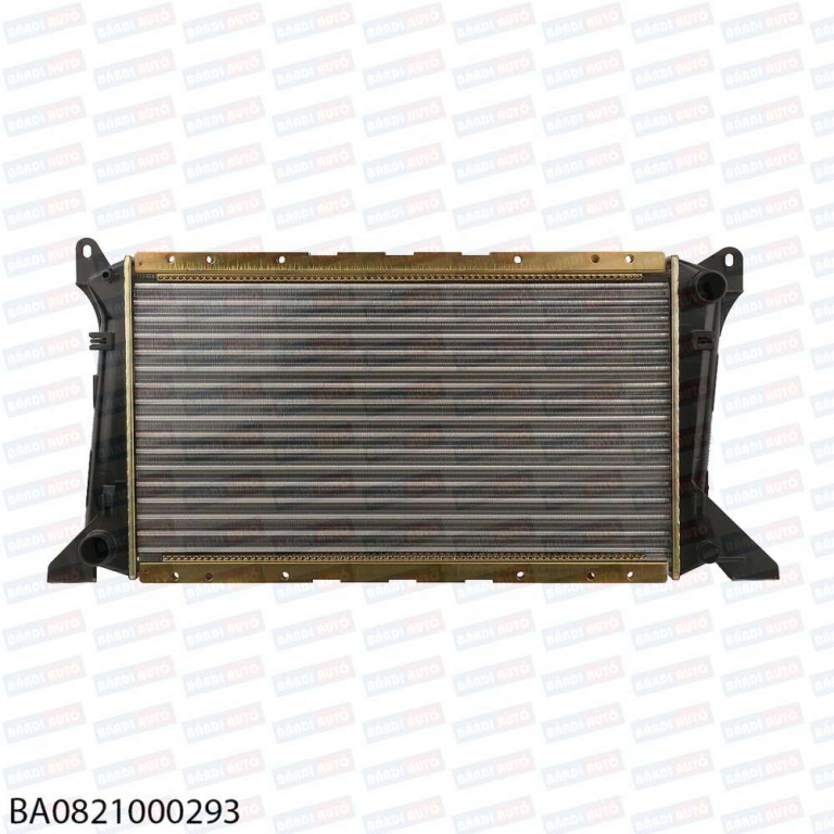 Radiator de apa BA0821000293 ford transit tourneo ⭐⭐⭐⭐⭐