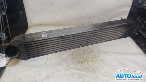 Radiator Intercooler 144610001n 2.0 DCI Renault LAGUNA III BT0/1 2007