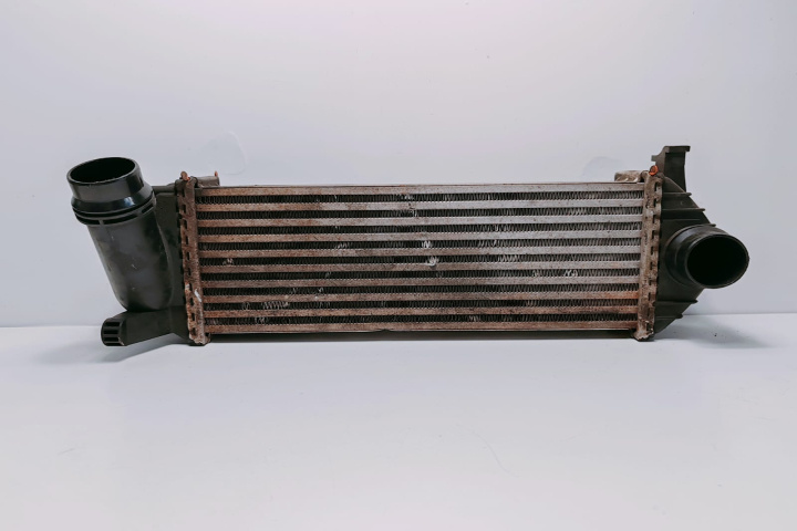 Radiator Intercooler 144963234RD Renault Kangoo 2 [2007 - 2013]
