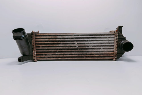 Radiator Intercooler 144963234RD Renault Kangoo 2 [2007 - 2013]