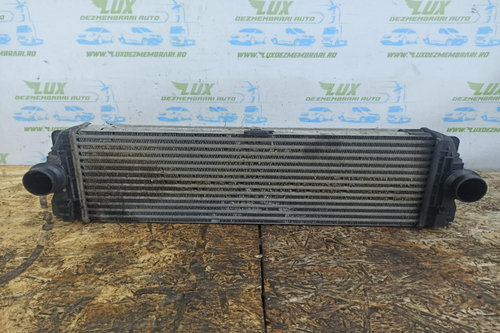 Radiator intercooler 2.2 cdi A9065010201 Mercedes-Benz Sprinter 2 906 [2006 - 2013]