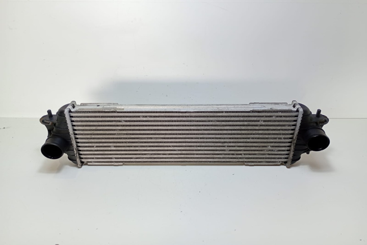 Radiator Intercooler 7700312903F Renault Trafic 2 [2001 - 2006]