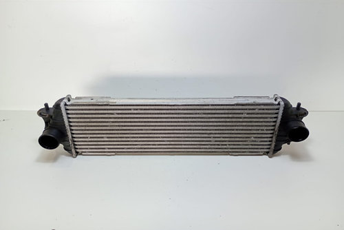 Radiator Intercooler 7700312903F Renault Trafic 2 [2001 - 2006]