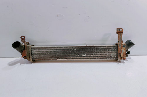 Radiator Intercooler 8200221885 Renault Kangoo [1998 - 2003]