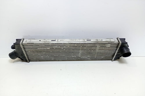 Radiator intercooler 8200411160C Nissan Primastar [facelift] [2006 - 2014]
